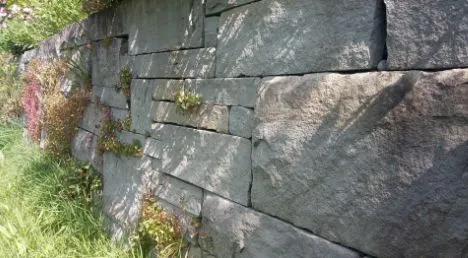 Eine robuste Trockenmauer aus grauen Natursteinen, die von Pflanzen bewachsen ist